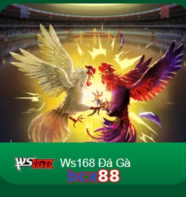 bcx88